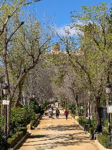 El Ayuntamiento de Lorca refuerza los tratamientos para controlar las poblaciones de mosquitos en la ciudad 