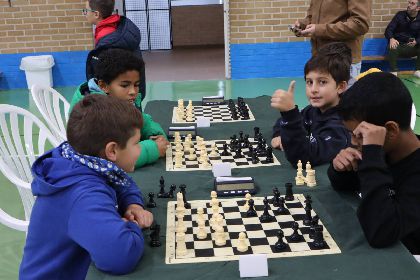 El C.D. San Antonio acoge la jornada local de ajedrez del programa Actividad Fsica y Deporte en Edad Escolar
