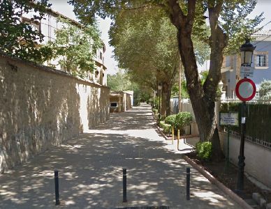 La Concejala de Sanidad fumigar en Las Alamedas maana mircoles, 20 de octubre