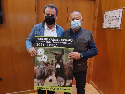 La Feria del Caballo Cruzado de Lorca se celebrar el 23 y 24 de octubre en el Recinto Ferial del Huerto de La Rueda