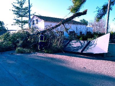El Ayuntamiento procede al cierre de los parques municipales debido a las fuertes rachas de viento