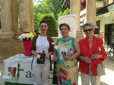 La Concejala de Sanidad cambia cigarrillos por claveles para concienciar contra el tabaquismo con motivo de la celebracin del Da Mundial Sin Tabaco 
