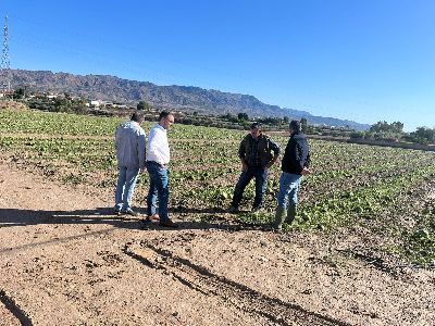 El alcalde visita las zonas ms afectadas por el granizo y solicita la declaracin de 'zona catastrfica'