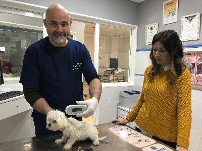 Ms de 1.200 mascotas fueron chipadas durante 2018 gracias a las campaas de tenencia responsable de animales puestas en marcha por el Ayuntamiento en colaboracin con los veterinarios
