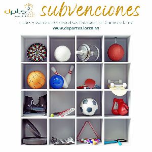 Clubes y asociaciones deportivas federadas optan a ms de 200.000 euros en subvenciones para promocionar la actividad fsica y el deporte