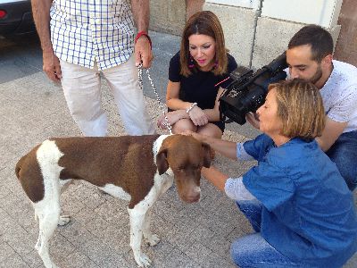 La Concejala de Sanidad y el Colegio de Veterinarios inician el viernes la Campaa Oficial de Vacunacin contra la rabia en las pedanas del trmino municipal