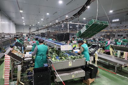 El paro vuelve a caer en Lorca hasta m�nimos hist�ricos, consolidando la tendencia positiva en generaci�n de empleo 