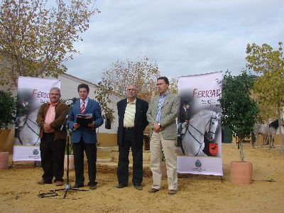 Ms de 400 caballos de pura raza se darn cita en la XXVIII Edicin de Fericab