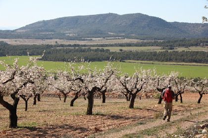 La Carrera Popular de San Jos y la ruta de ''Lorca a Pie'' entre Avils y Lomas del Ciller, dos oportunidades para disfrutar del deporte el prximo domingo 19 de marzo