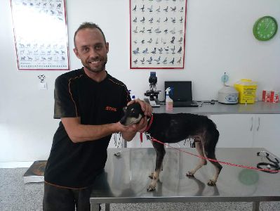 La colaboracin ciudadana permite localizar a un perro que se haba perdido y que se encontraba en estado de salud crtico