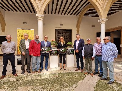 El Palacio de Guevara de Lorca acoger del 26 al 29 de mayo la ''VII Exposicin de Bonsi''