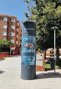 El Ayuntamiento de Lorca colabora un ao ms en las campaas de sensibilizacin de la tortuga marina mediante la insercin de cartelera en mupis de la ciudad 