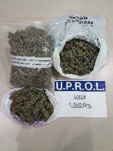 Detenida una persona en La Hoya por delitos contra la salud pblica, trfico de drogas y conduccin temeraria tras una peligrosa persecucin