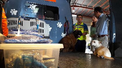 Lorca se une a un servicio pionero y gratuito de recogida y cuidado de mascotas en caso de hospitalizacin de los dueos por enfermedad o accidente de trfico