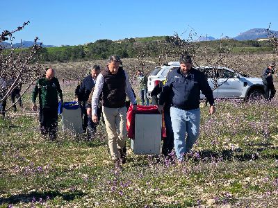 Las Tierras Altas de Lorca dan la bienvenida a Weeka y Windows con el inicio la nueva campa�a de liberaci�n del lince ib�rico en la Regi�n