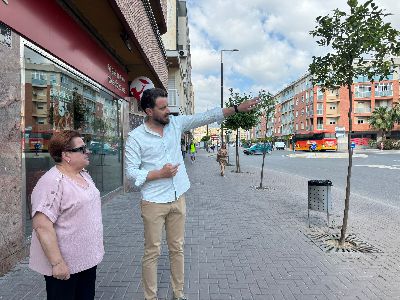 El Gobierno de Lorca protagoniza una nueva actuaci�n en la Avenida de Europa con la instalaci�n de 60 nuevas luminarias 