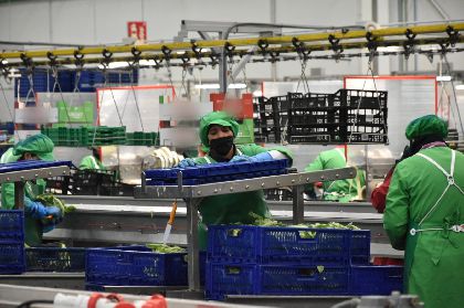 El paro se reduce en Lorca en 193 personas en julio y alcanza cifras similares a antes de la crisis de 2008