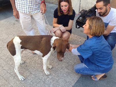 La Campaa Oficial de prevencin contra la rabia en animales de compaa realizada en las pedanas se completa con 146 vacunaciones