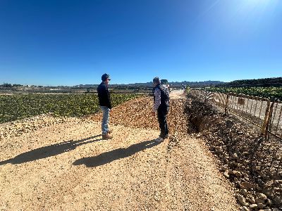 Las �ltimas actuaciones de urgencia en Marchena, puestas en marcha por el Ayuntamiento, en su recta final