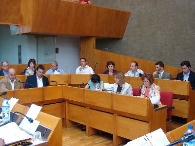 El Pleno aprueba una comisin para regularizar la situacin laboral de Proteccin Civil