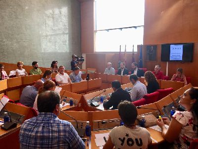 El Pleno del Ayuntamiento aprueba ''por unanimidad'' adoptar medidas para paliar los efectos causados por las lluvias