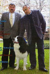 El Primer Ministro blgaro enva a dos perros de su propiedad a participar en la Exposicin Canina de Lorca