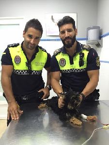 La Polica Local rescata a un cachorro abandonado que se encontraba dentro de una bolsa de basura en un contenedor