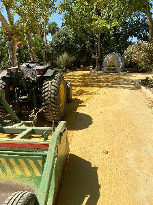 El Ayuntamiento realiza este viernes un tratamiento para evitar la proliferacin de mosquitos en Las Alamedas 