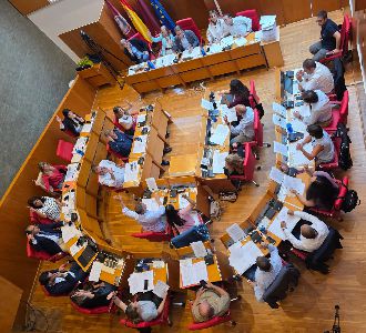 El Pleno rechaza la imposicin del cataln como lengua obligatoria en los servicios de atencin al cliente de las empresas