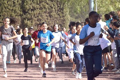El C.D. Gins Antonio Vidal-La Torrecilla acoge la jornada de campo a travs de categoras alevn y benjamn con ms de 2.000 escolares de 24 centros educativos