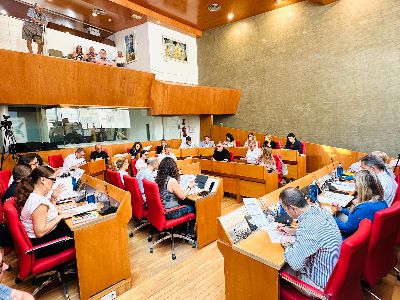 Balance de votaciones del Pleno Ordinario del Ayuntamiento de Lorca correspondiente al mes de junio