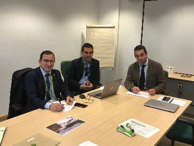 El Ayuntamiento se rene con Iberdrola para poner una solucin definitiva a los apagones que han afectado al municipio 