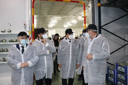 El alcalde de Lorca destaca la importancia del sector hortofrutcula durante la visita del Ministro de Agricultura