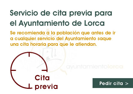 Solicitar cita previa en los diferentes servicios municipales