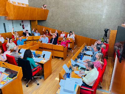 Imagen de la noticia